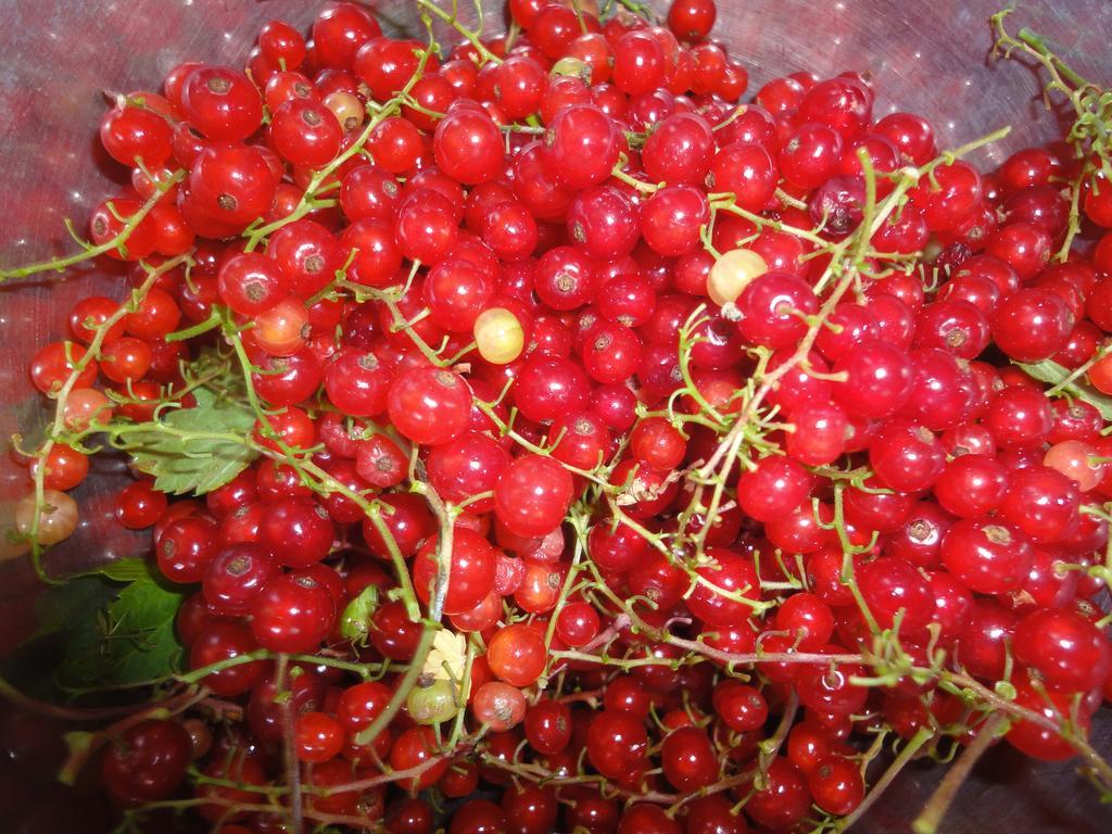 Farm Inn Anima No Sato Abashiri Εξωτερικό φωτογραφία